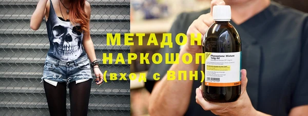 прущие грибы Горняк