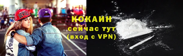 прущие грибы Горняк