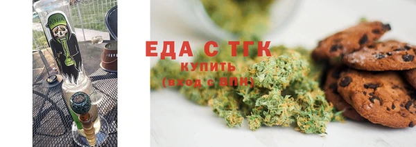 прущие грибы Горняк