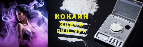 тгк Горно-Алтайск