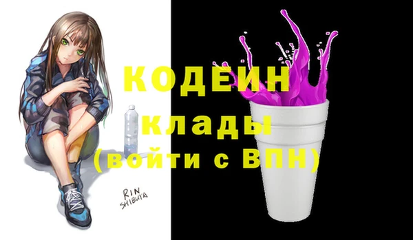 прущие грибы Горняк