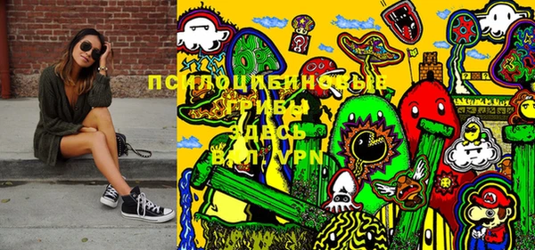 прущие грибы Горняк