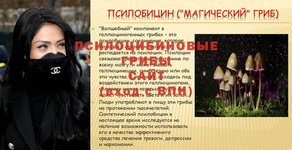 mix Горнозаводск