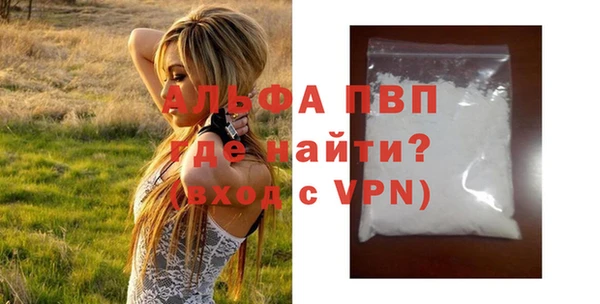 прущие грибы Горняк