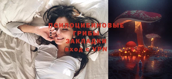 прущие грибы Горняк