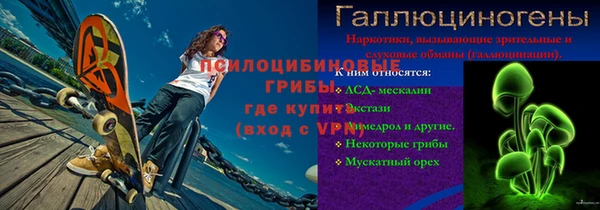 прущие грибы Горняк