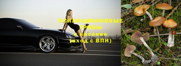 тгк Горно-Алтайск